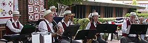 Playing at the Great Petaluma Quilt Festival, Aug. 2004